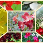 Dịch vụ mở nhà thuốc đạt GPP tại Hà Nam 3 Muốn mở nhà thuốc đạt GPP tại Hà Nam
