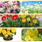 Dịch vụ mở nhà thuốc đạt GPP tại Hòa Bình 3 Muốn mở nhà thuốc đạt GPP tại Hòa Bình