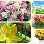 Dịch vụ mở nhà thuốc đạt GPP tại Hưng Yên 6 Chi Phí mở nhà thuốc đạt GPP tại Hưng Yên