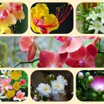 Dịch vụ mở nhà thuốc đạt GPP tại Huyện Bình Chánh 3 Muốn mở nhà thuốc đạt GPP tại Huyện Bình Chánh
