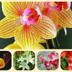 Dịch vụ mở nhà thuốc đạt GPP tại Huyện Củ Chi 3 Muốn mở nhà thuốc đạt GPP tại Huyện Củ Chi