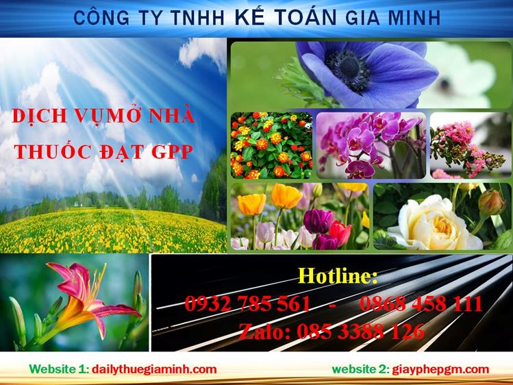 Dịch vụ mở nhà thuốc đạt GPP tại Huyện Củ Chi 1 Thủ tục mở nhà thuốc đạt GPP tại Huyện Củ Chi