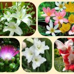 Hướng Dẫn Chi Tiết Mở Nhà Thuốc Đạt GPP Tại Huyện Dầu Tiếng: Thủ Tục Và Yêu Cầu 3 Muốn mở nhà thuốc đạt GPP tại Huyện Dầu Tiếng