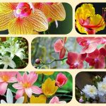 Dịch vụ mở nhà thuốc đạt GPP tại Huyện Nhà Bè 3 Muốn mở nhà thuốc đạt GPP tại Huyện Nhà Bè