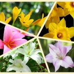 Dịch vụ mở nhà thuốc đạt GPP tại Huyện Quốc Oai 6 Muốn mở nhà thuốc đạt GPP tại Huyện Quốc Oai