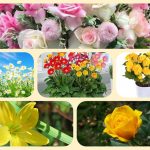 Dịch vụ mở nhà thuốc đạt GPP tại Kiên Giang 6 Muốn mở nhà thuốc đạt GPP tại Kiên Giang