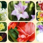 Dịch vụ mở nhà thuốc đạt GPP tại Quận 12 3 Muốn mở nhà thuốc đạt GPP tại Quận 12
