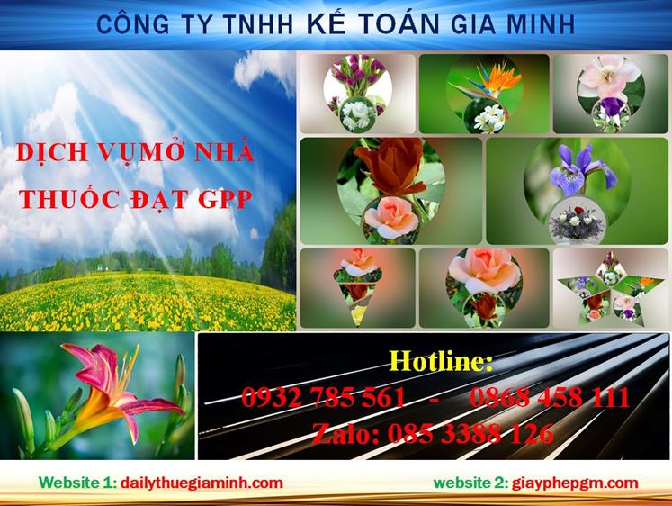 Dịch vụ mở nhà thuốc đạt GPP tại Quận 12 1 Thủ tục mở nhà thuốc đạt GPP tại Quận 12