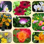 Dịch vụ mở nhà thuốc đạt GPP tại Quận 3 3 Muốn mở nhà thuốc đạt GPP tại Quận 3