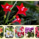 Dịch vụ mở nhà thuốc đạt GPP tại Quận 7 3 Muốn mở nhà thuốc đạt GPP tại Quận 7