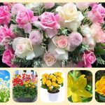 Dịch vụ mở nhà thuốc đạt GPP tại Thái Nguyên 6 Muốn mở nhà thuốc đạt GPP tại Thái Nguyên