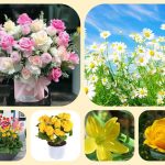 Dịch vụ mở nhà thuốc đạt GPP tại Thanh Hóa 3 Muốn mở nhà thuốc đạt GPP tại Thanh Hóa