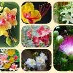 Dịch vụ mở nhà thuốc đạt GPP tại TP Thủ Dầu Một 3 Muốn mở nhà thuốc đạt GPP tại TP THủ Dầu Một