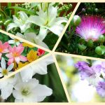 Dịch vụ mở nhà thuốc đạt GPP tại Thị Xã Dĩ An 3 Muốn mở nhà thuốc đạt GPP tại Thị Xã Dĩ An