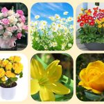 Dịch vụ mở nhà thuốc đạt GPP tại thành phố Hồ Chí Minh 6 Muốn mở nhà thuốc đạt GPP tại thành phố Hồ Chí Minh