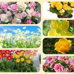 Dịch vụ mở nhà thuốc đạt GPP tại Tuyên Quang 6 Muốn mở nhà thuốc đạt GPP tại Tuyên Quang