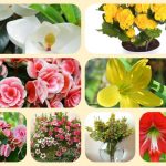 Dịch vụ mở nhà thuốc đạt GPP tại Vũng Tàu 6 Muốn mở nhà thuốc đạt GPP tại Vũng Tàu