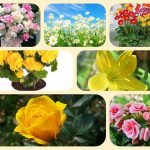 Dịch vụ mở nhà thuốc đạt GPP tại Yên Bái 6 Muốn mở nhà thuốc đạt GPP tại Yên Bái