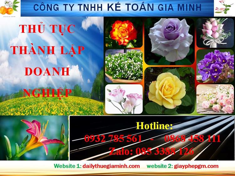 Thủ tục thành lập doanh nghiệp tại Bình Thuận 4 Dịch vụ thành lập doanh nghiệp tại Bình Thuận