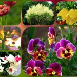 Thủ tục thành lập doanh nghiệp tại Hà Nam 6 Muốn thành lập doanh nghiệp tại Hà Nam