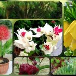 Thủ tục thành lập doanh nghiệp tại Hải Phòng 6 Muốn thành lập doanh nghiệp tại Hải Phòng