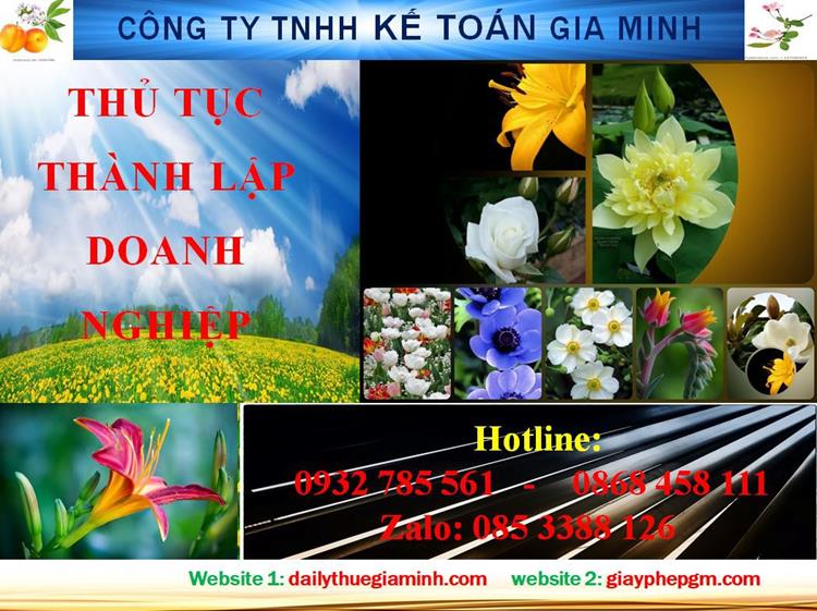Thủ tục thành lập doanh nghiệp tại Hải Phòng 4 Dịch vụ thành lập doanh nghiệp tại Hải Phòng