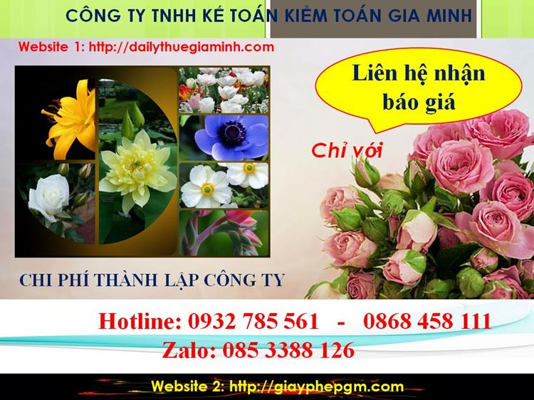 Thủ tục thành lập doanh nghiệp tại Hải Phòng 5 Chi phí thành lập doanh nghiệp tại Hải Phòng