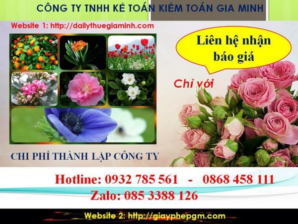 Chi phí thành lập doanh nghiệp tại Huyện Bắc Tân Uyên