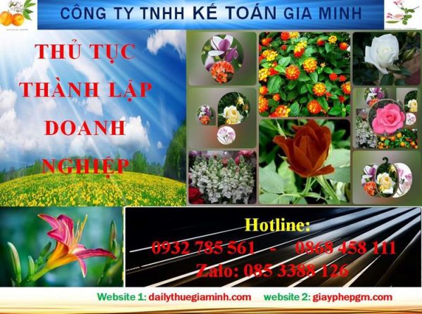 Dịch vụ thành lập doanh nghiệp tại Huyện Bàu Bàng