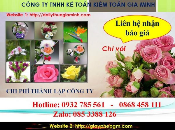 Chi phí thành lập doanh nghiệp tại Huyện Bàu Bàng