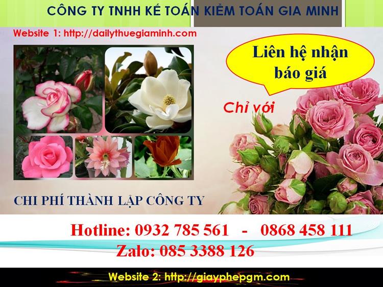 Chi phí thành lập doanh nghiệp tại Huyện Hà Nội