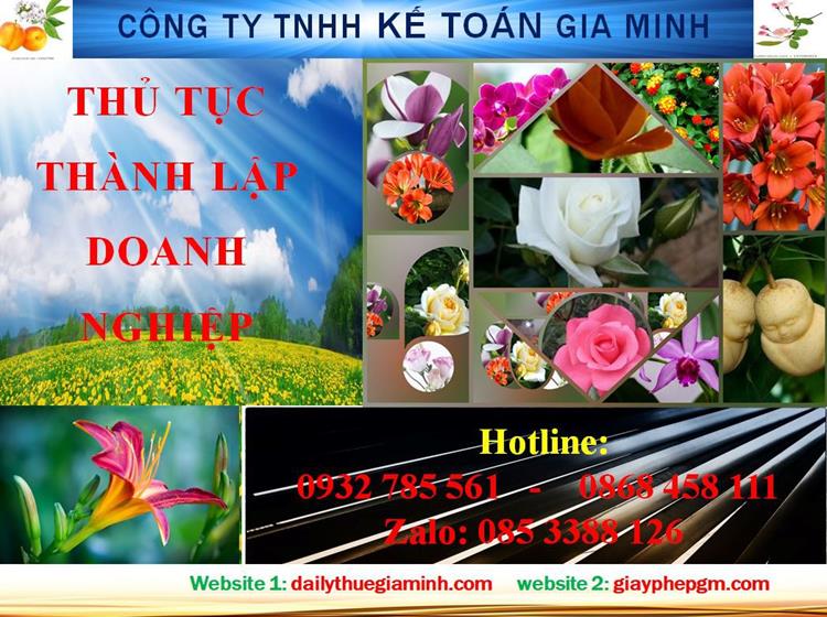 Thủ tục thành lập doanh nghiệp tại Khánh Hòa 4 Dịch vụ thành lập doanh nghiệp tại Khánh Hòa