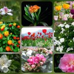 Thủ tục thành lập doanh nghiệp tại Lâm Đồng 6 Muốn thành lập doanh nghiệp tại Lâm Đồng