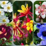 Thủ tục thành lập doanh nghiệp tại Quảng Ngãi 6 Muốn thành lập doanh nghiệp tại Quảng Ngãi