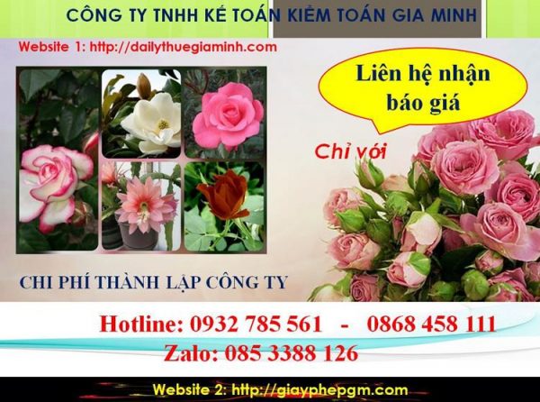 Chi phí thành lập doanh nghiệp tại Thị Xã Tân Uyên