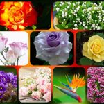 Thủ tục thành lập doanh nghiệp tại TP HCM 6 Muốn thành lập doanh nghiệp tại TP HCM