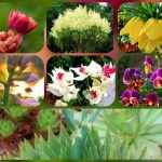 Muốn thành lập hộ kinh doanh tại Bình Thuận