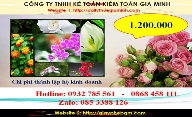  Chi phí thành lập hộ kinh doanh tại Điện Biên