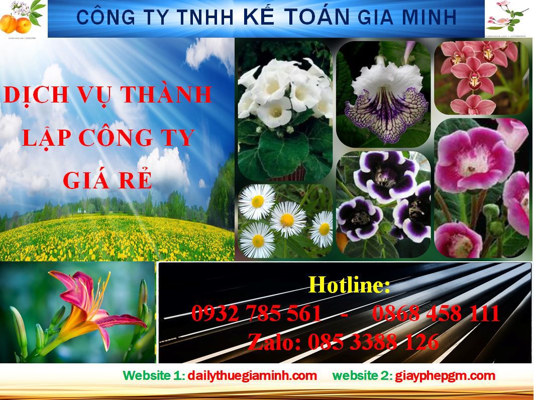 Thủ tục thành lập hộ kinh doanh tại Điện Biên