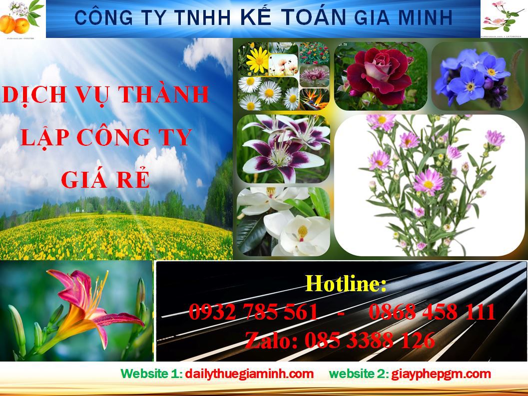 Thủ tục thành lập hộ kinh doanh tại Hải Phòng 4 Thủ tục thành lập hộ kinh doanh tại Hải Phòng