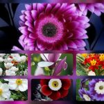 Muốn thành lập hộ kinh doanh tại Hoa Bình
