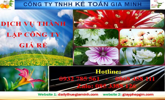 Thủ tục thành lập hộ kinh doanh tại Hòa Bình