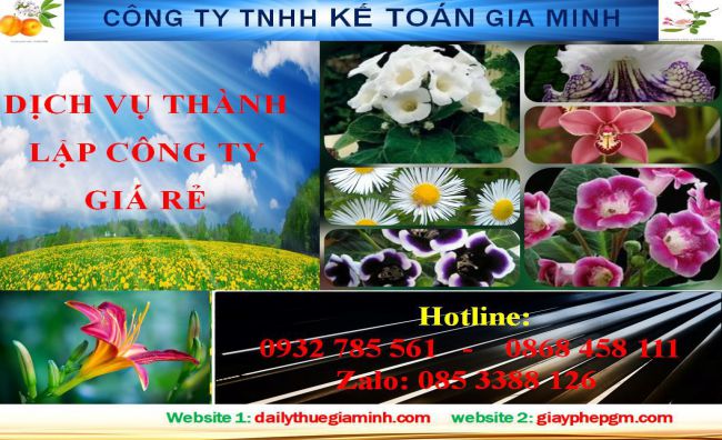 Thủ tục thành lập hộ kinh doanh tại Huyện Phú Giáo