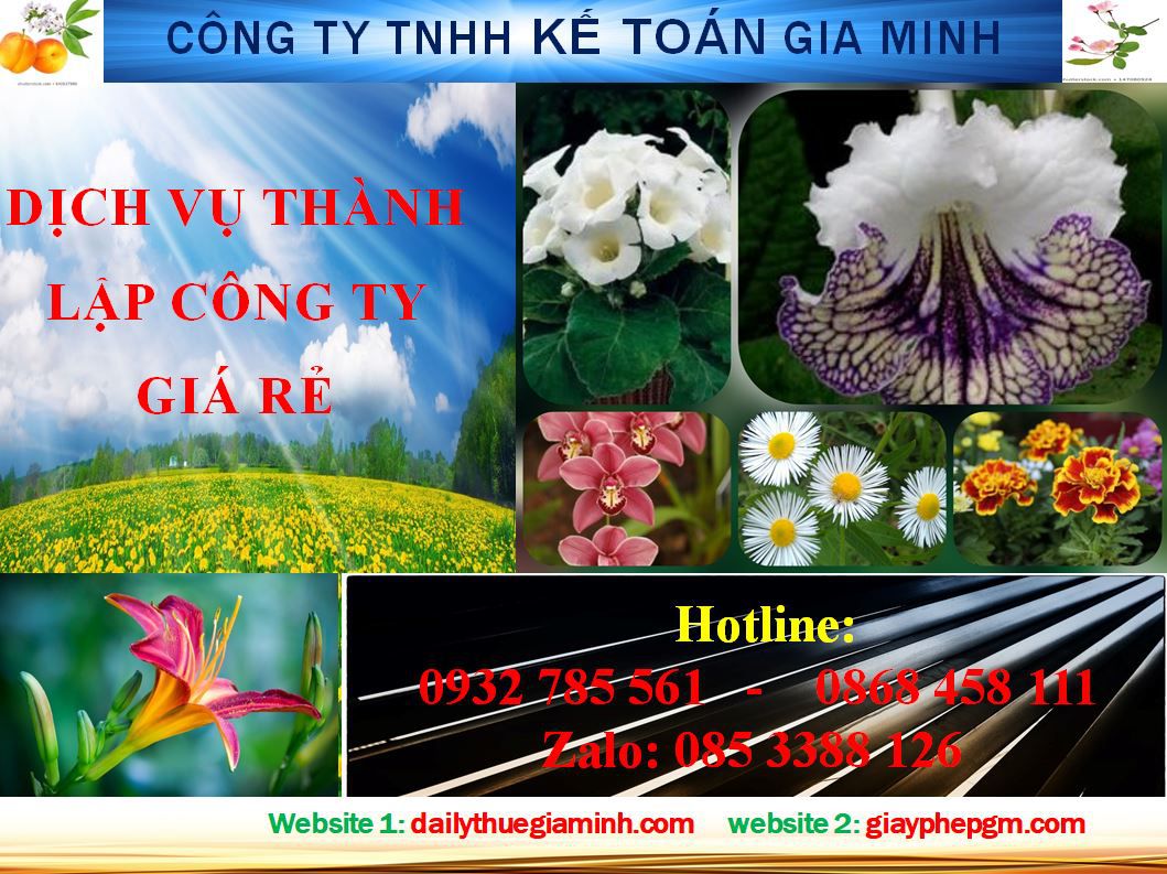 Thủ tục thành lập hộ kinh doanh tại Huyện Phú Xuyên