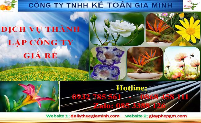 Thủ tục thành lập hộ kinh doanh tại Huyện Ứng Hòa