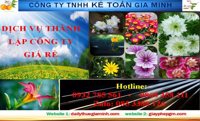 Thủ tục thành lập hộ kinh doanh tại Khánh Hòa 4 Thủ tục thành lập hộ kinh doanh tại Khánh Hòa