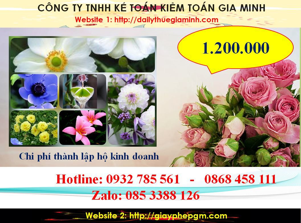 Thủ tục thành lập hộ kinh doanh tại Quận Hai Bà Trưng 5 Chi phí thành lập hộ kinh doanh tại Quận Hai Bà Trưng