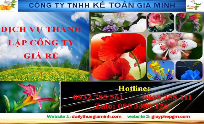 Thủ tục thành lập hộ kinh doanh tại Quận Hai Bà Trưng 4 Thủ tục thành lập hộ kinh doanh tại Quận Hai Bà Trưng