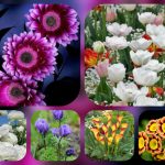 Thủ tục thành lập hộ kinh doanh tại Quảng Ngãi 6 Muốn thành lập hộ kinh doanh tại Quảng Ngãi