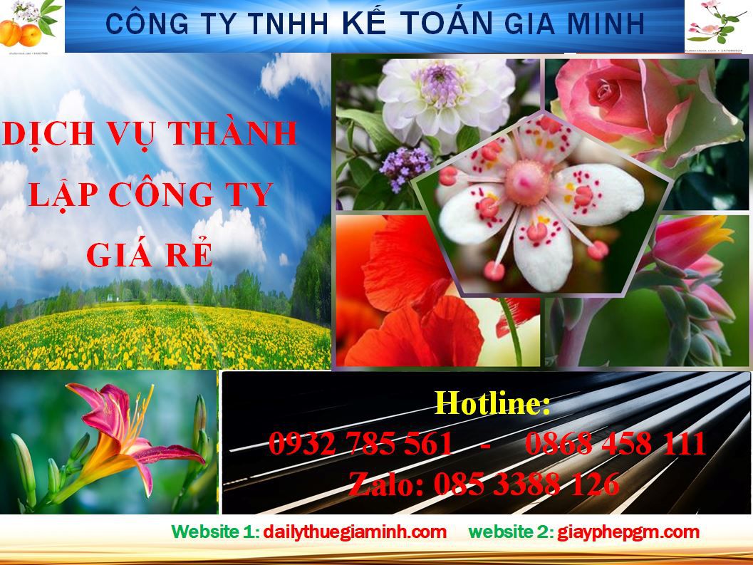 Thủ tục thành lập hộ kinh doanh tại TP Thủ Đức 4 Thủ tục thành lập hộ kinh doanh tại TP Thủ Đức